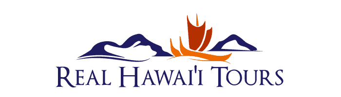 Best Hawaii Tours
