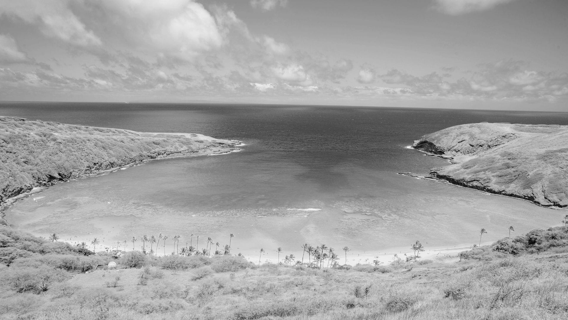 Discover Hanauma Bay: A Must-Visit Paradise in Hawaii %% - Real