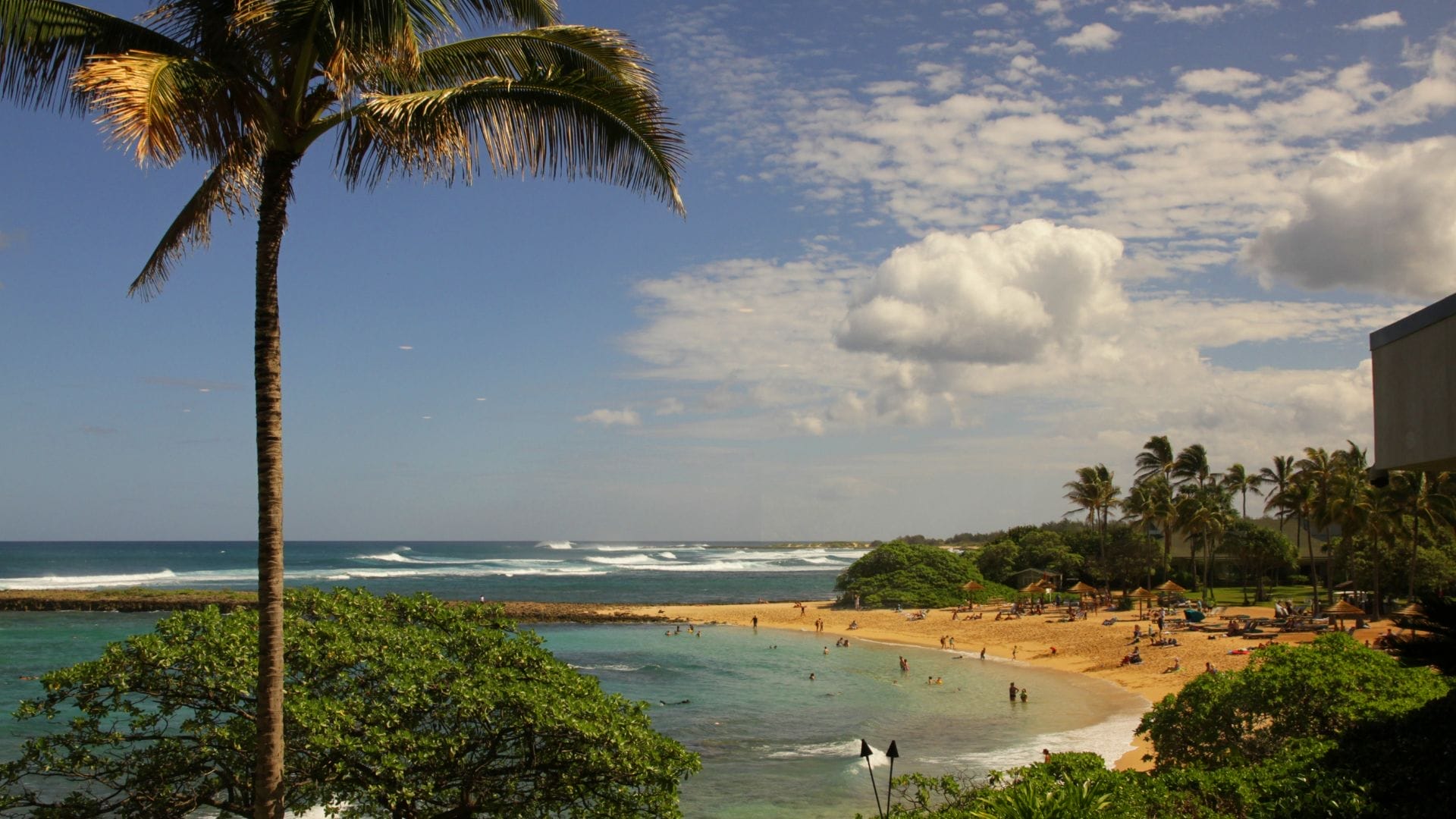 Experience Luxury Must Stay Oahu Hotels in Hawaii Real Hawaii Tours