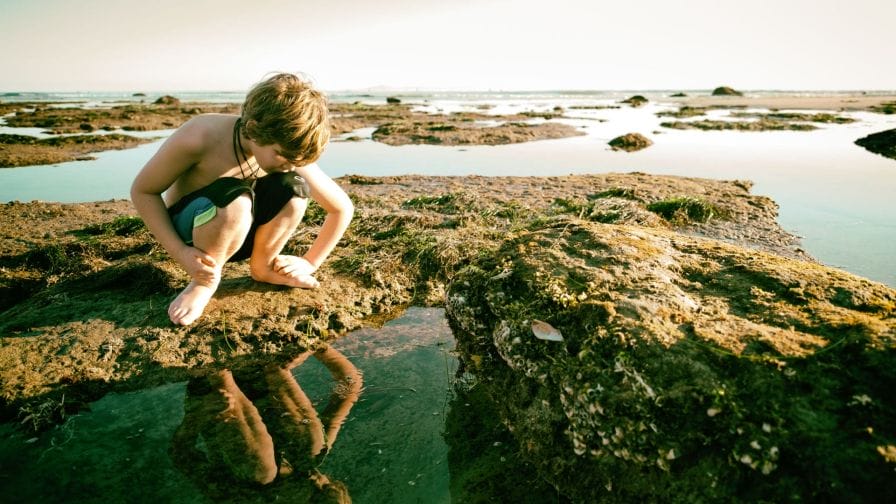Staying Safe While Swimming in Tide Pools