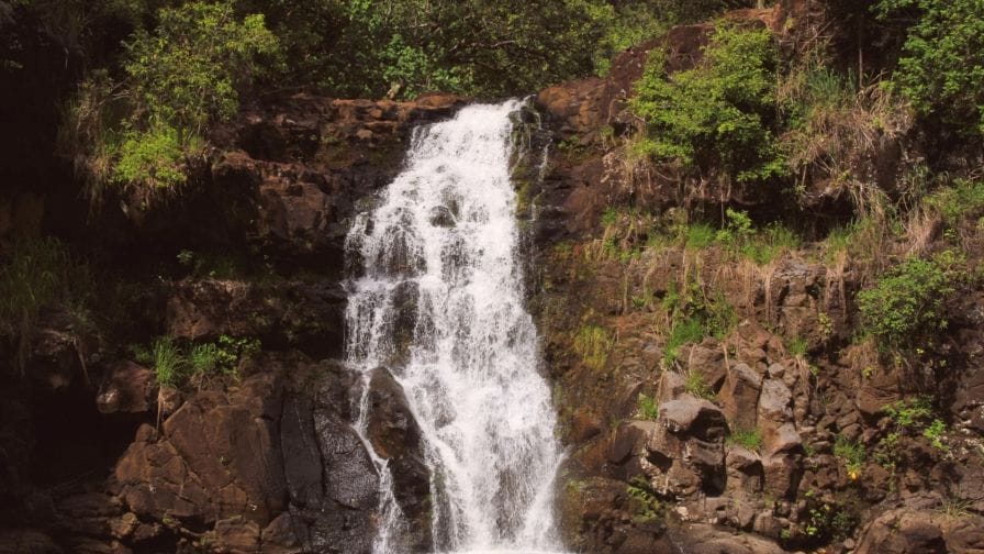 Tour of North Shore & Waimea Waterfall - Honolulu