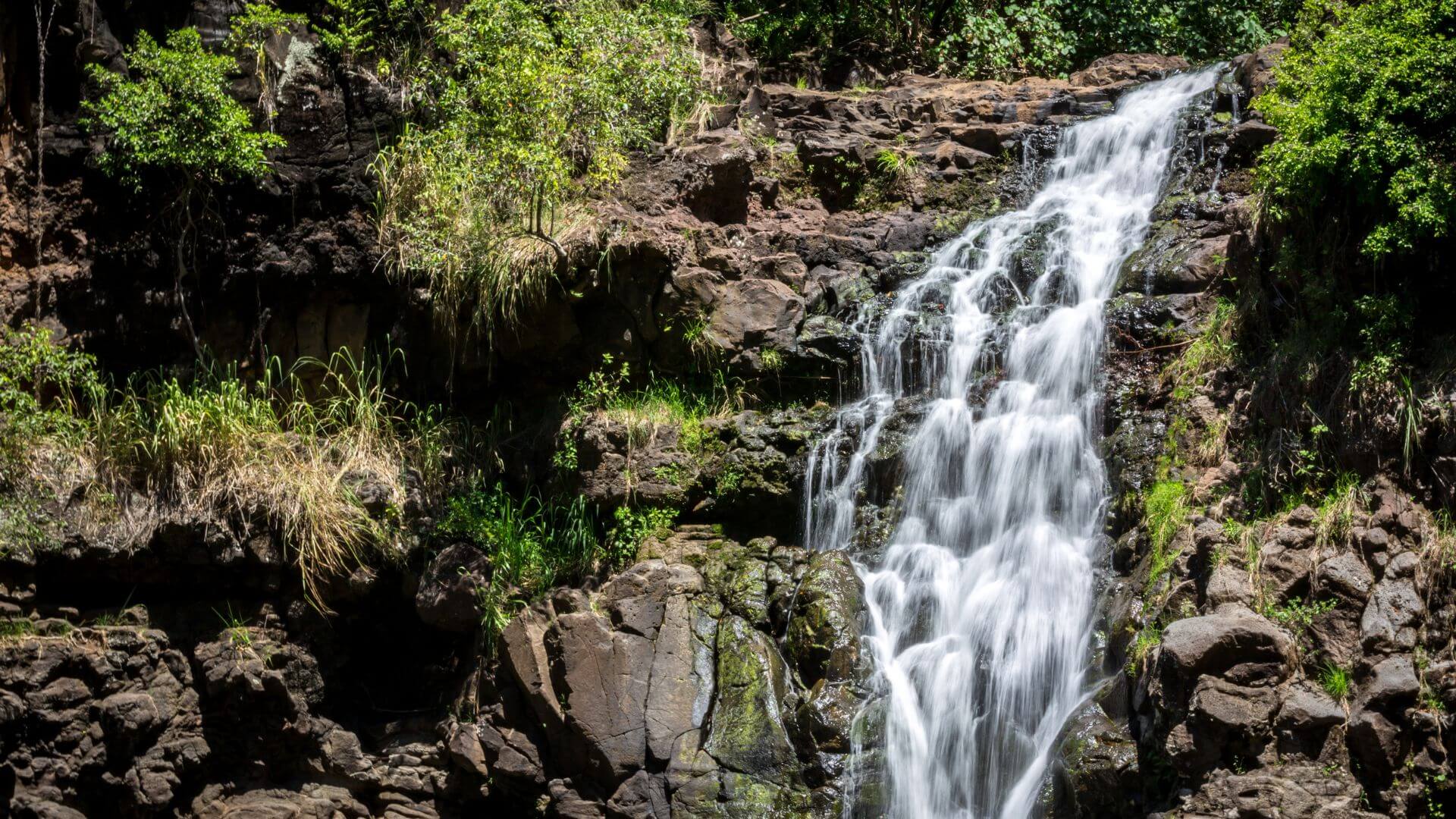 Waimea-Falls-Oahu-Hike-A-Comprehensive-Guide
