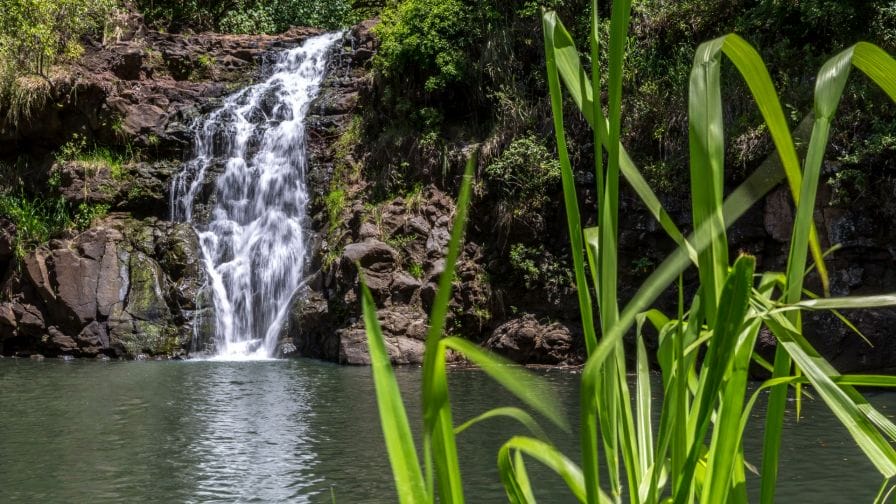 waterfalls-in-Oahu-you can-swim-in