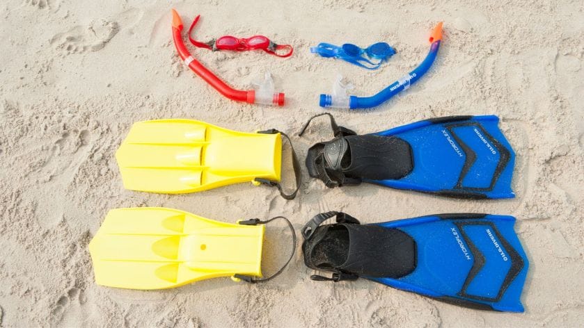 Preparing-for-Your-Manta-Ray-Snorkel