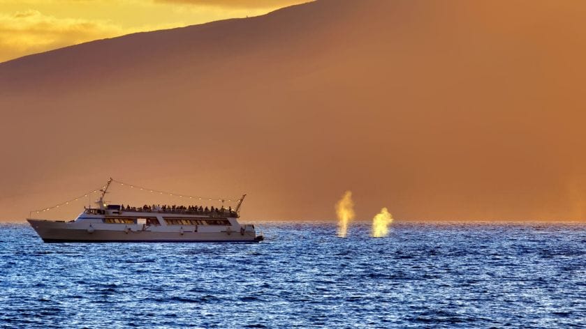 The-Sunset-Cruise-off-Maui-West-Coast