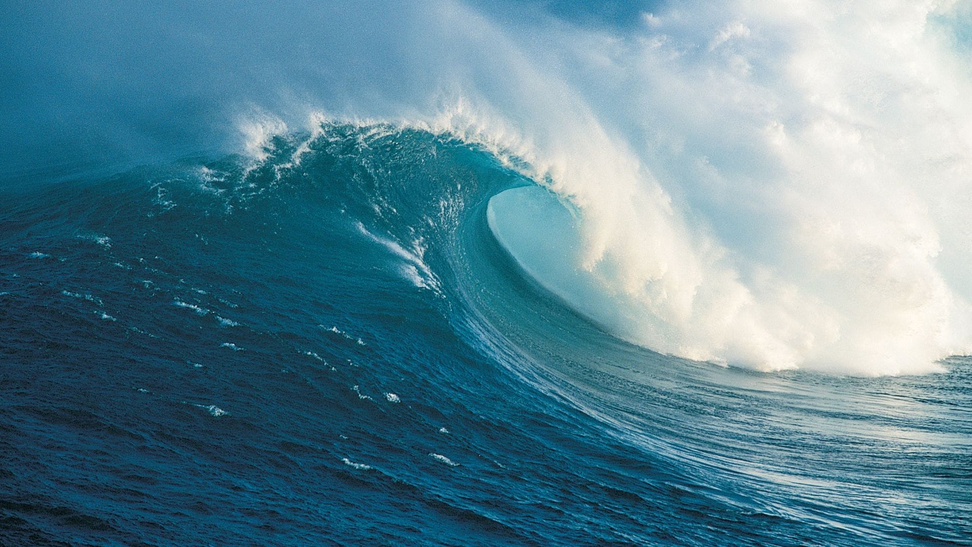 The-Hawaiian-Tube-Wave