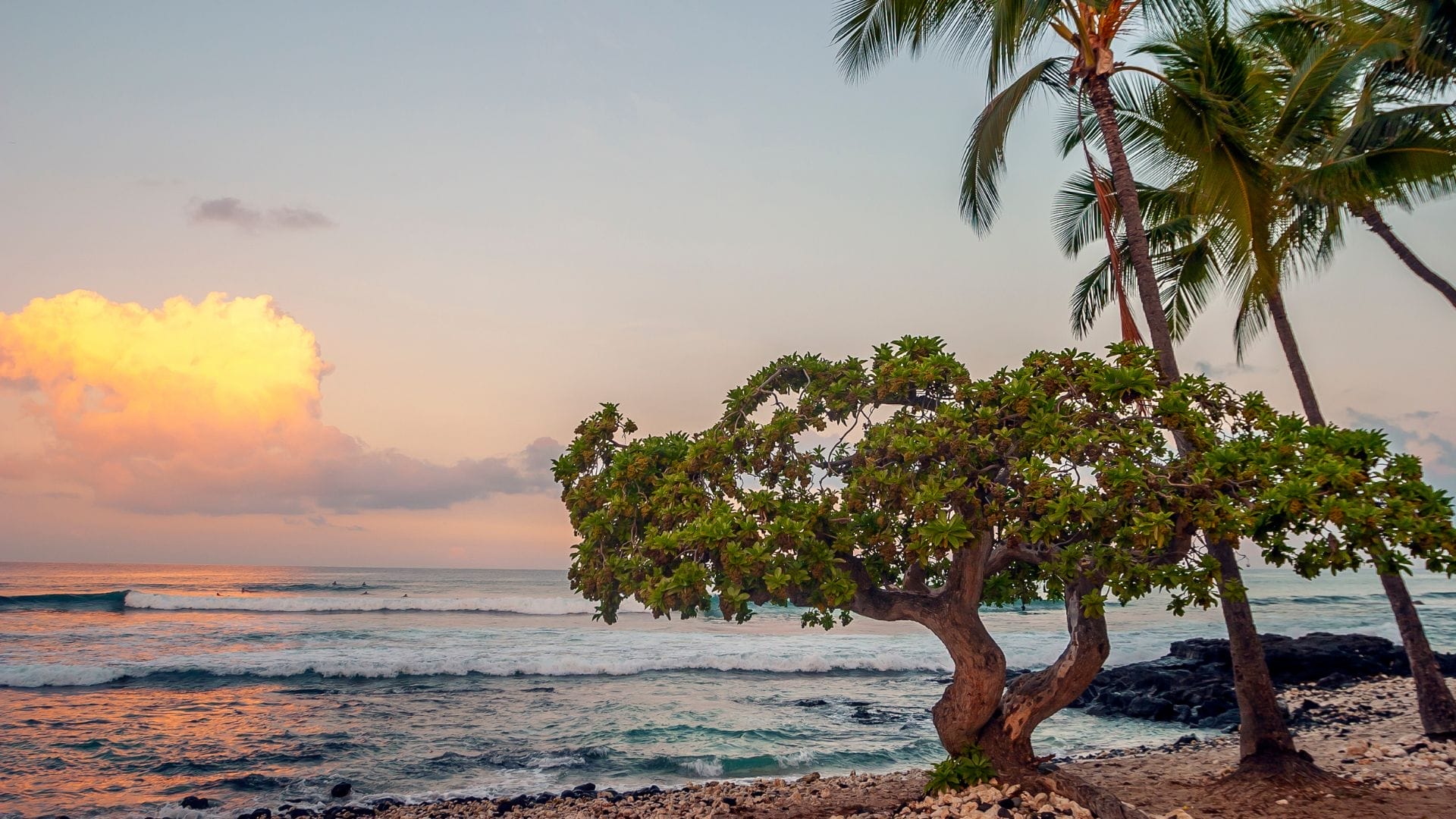 Big-Island-Hawai'i-Vacation-Guide
