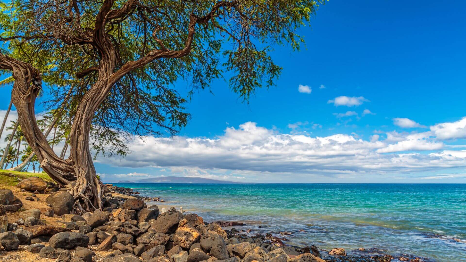 Kihei Gems: Top Beaches and Local Eats in Maui’s Haven - Real Hawaii Tours