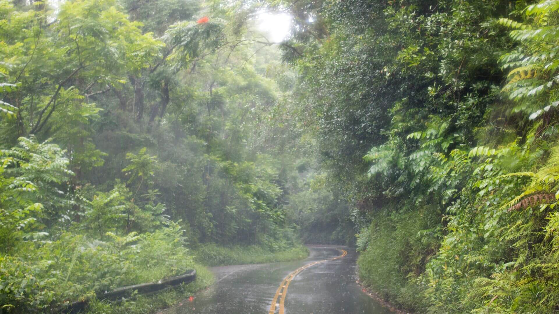 Rainy Season in Maui: A Comprehensive Guide to Weather Patterns and